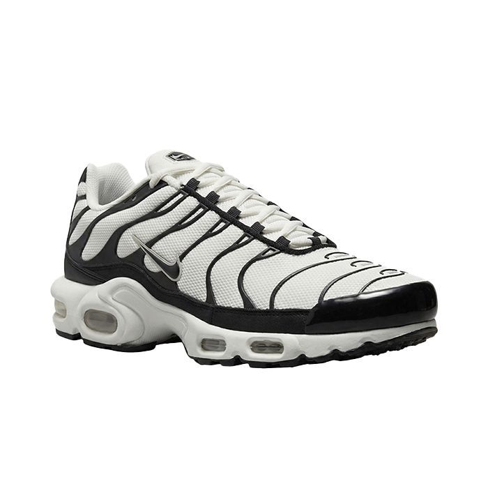 Кроссовки Nike Air Max Plus  FV6264-001